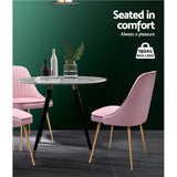 Artiss Dining Chairs Retro Chair Cafe Kitchen Modern Iron Legs Velvet Pink x2